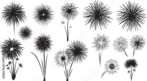 Black and white dandelion flowers illustrations set on white