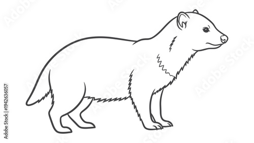 A Stoic Weasel: A simple line illustration of a stoic weasel, captured in a clean and minimalistic design.