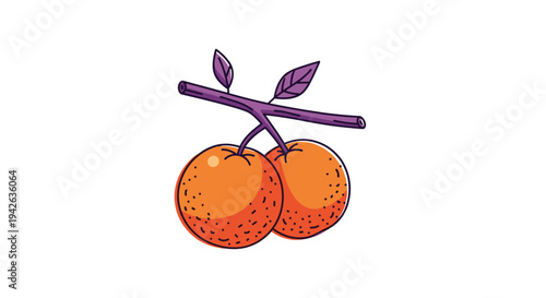 Two ripe oranges hanging from a purple branch with two leaves in a stylized vector illustration style.