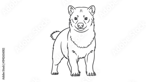 Shiba Inu Line Art Illustration: A captivating line art illustration showcasing the unique features and charm of a Shiba Inu, a dog breed from Japan, with detailed strokes.