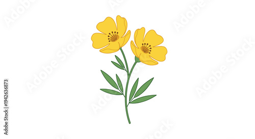 Pair of bright yellow buttercup flowers on a single green stem with leaves in a cheerful and natural botanical illustration.