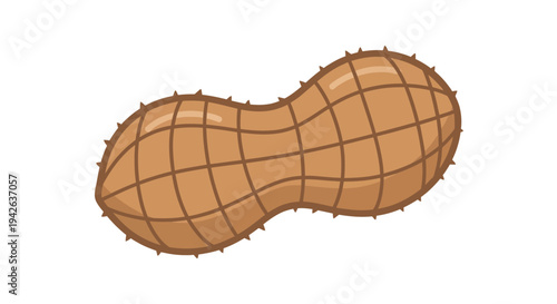 Peanut Single Brown Nut.