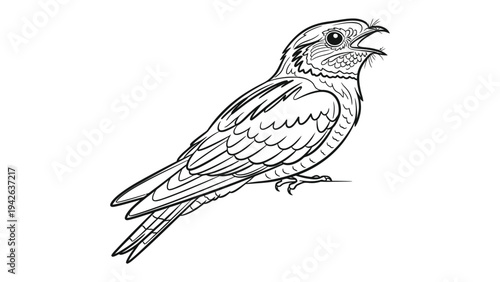 Elegant Bird: A detailed line drawing of a bird, showcasing the intricate beauty of its feathers, beak, and overall form. A monochromatic masterpiece.