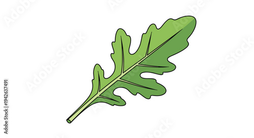 Single green arugula leaf with characteristic serrated edges and visible veins isolated on a plain white background.