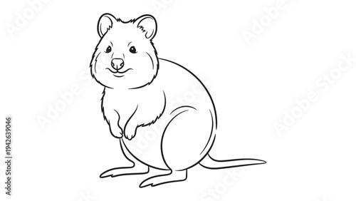 Quokka Drawing: A charming illustration of a quokka, depicted in simple black and white lines. The image showcases the adorable features and unique character of the animal.