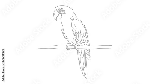 Parrot Line Art: A detailed parrot illustration in minimalist line art style, perched gracefully on a branch, ready for coloring or design integration.