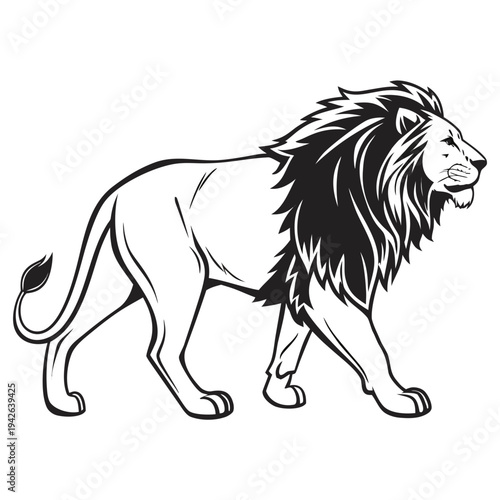 Vector lion illustration, black and white animal icon