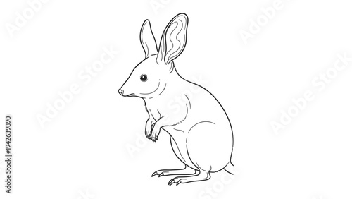 Black and White Bilby Sketch: A detailed, minimalist monochrome sketch of a bilby, with its distinctive elongated ears and petite form, set against a simple backdrop.