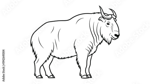 Takin Illustration: A hand-drawn line art illustration of a Takin, a goat-antelope native to the Eastern Himalayas, showcasing its robust build and distinctive horns.