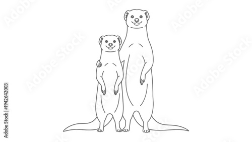 Meerkat Duo: A heartwarming illustration of two meerkats standing tall and alert, possibly engaged in a lookout. Captured in monochrome, showcasing simplicity and elegance.