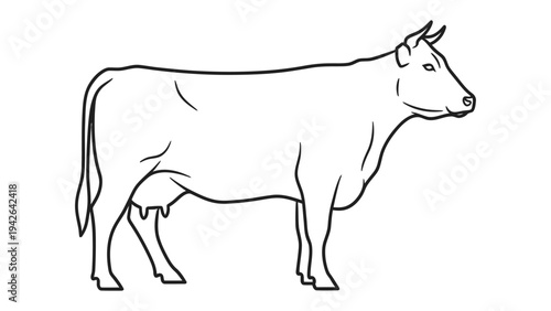 Dairy Cow Illustration: A sleek, minimalist line art of a dairy cow, showcasing its elegant form, this artwork captures the essence of rural life with refined simplicity.