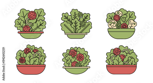 Mixed Greens Salad Line art minimal digital abstract color illustration