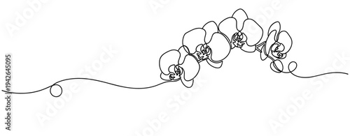 Orchid flowers arranged along continuous line floral motif