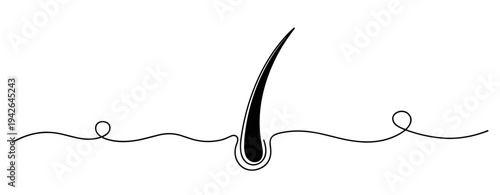 Hair follicle emerging from skin surface line drawing