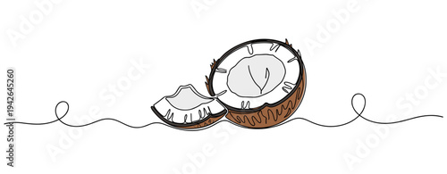 Coconut halves resting on continuous line background