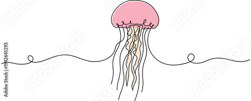 Pink jellyfish drifting with trailing tentacles over white background