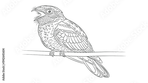 Singing Bird Silhouette: A monochrome line drawing captures the elegance of a bird perched on a branch, its beak wide open in song. This art piece represents artistic expression, serenity.