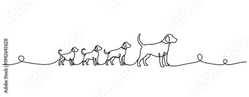 Dog mother leading puppies walking along continuous line