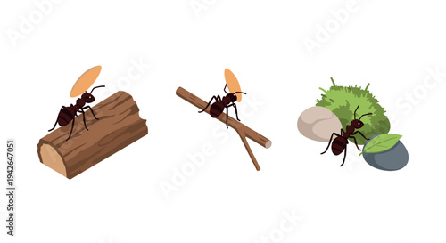 Ants in nature: realistic depiction of ants interacting with natural elements