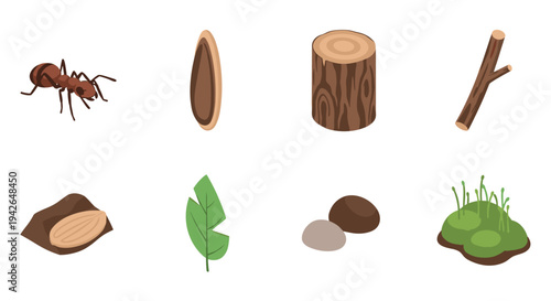 Nature elements collection: ant, wood, seed, leaf, and moss