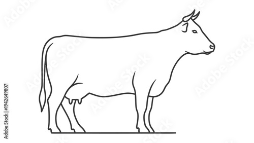 Cattle Line Art: A clean and simple line drawing of a majestic cow, showcasing its elegant form, perfectly captures the essence of rural life.