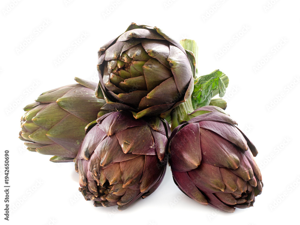 Fototapeta premium group of purple artichoke
