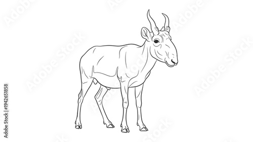 Artistic Depiction of Saiga Antelope: A detailed artistic representation of a saiga antelope, showcasing its unique physical features. 