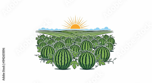 Watermelon field with rolling green hills under a vibrant sunrise and clouds