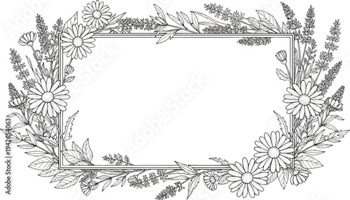 Decorative floral frame with daisies and lavender