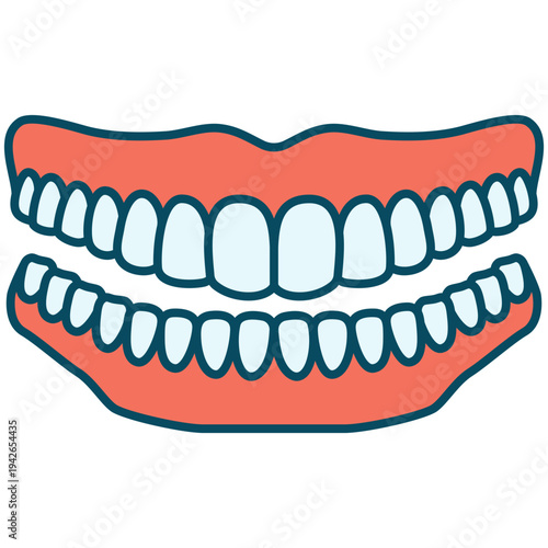 Illustration of Upper and Lower Dentures