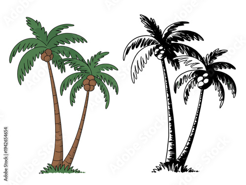 Cartoon coconut palm trees with green fronds and brown trunks bearing coconuts tropical