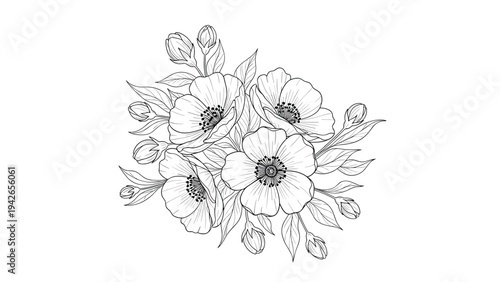 A beautiful and intricate hand-drawn bouquet of anemone flowers and buds in a detailed black and white line art style for elegant designs.
