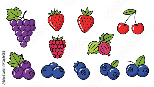 Assorted fresh berries and small fruits illustrations including grapes, strawberries, cherries, blueberries, and raspberries in color.