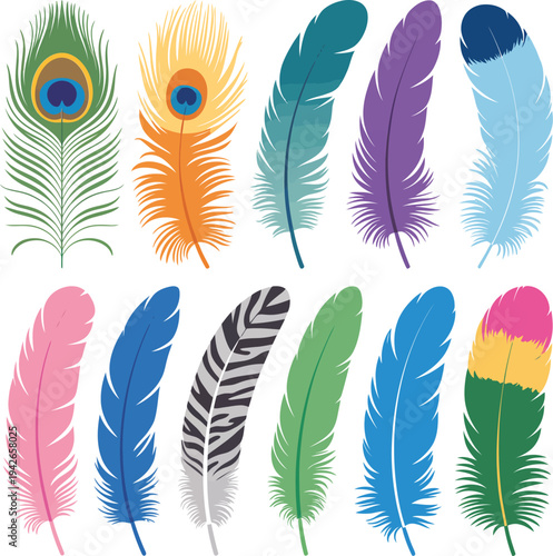 Collection of Colorful Bird Feathers in Various Shapes and Patterns, Vibrant Peacock and Exotic Feathers Set for Bohemian Decor and Fashion Design, Detailed Vector Illustration