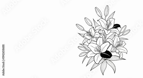 Delicate black and white illustration of a bouquet of lilies and buds