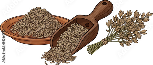 Illustration of a wooden scoop and bowl filled with cumin seeds, with a bunch of cumin stalks