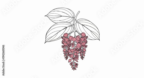 Delicate sketch of a cascading cluster of pink flowers with green leaves