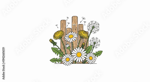 Wooden fence with daisies and dandelions, some seed heads blowing away