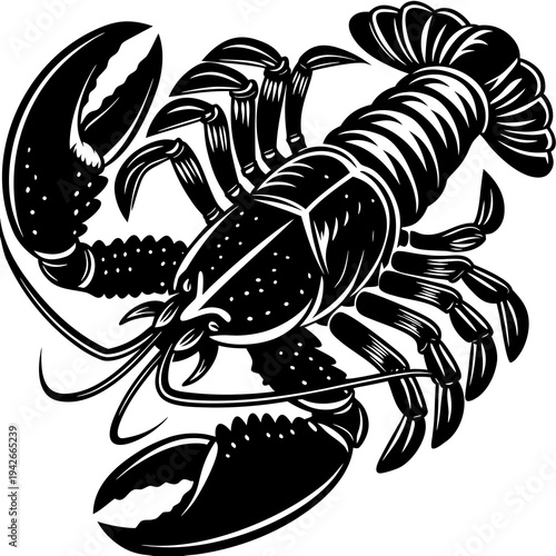 Vector black and white lobster illustration