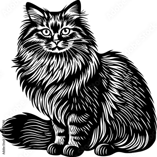 Black and white vector illustration of a long-haired cat