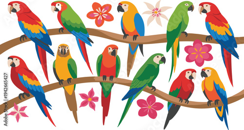 Colorful parrots sitting on tree branches with flowers around them on white background