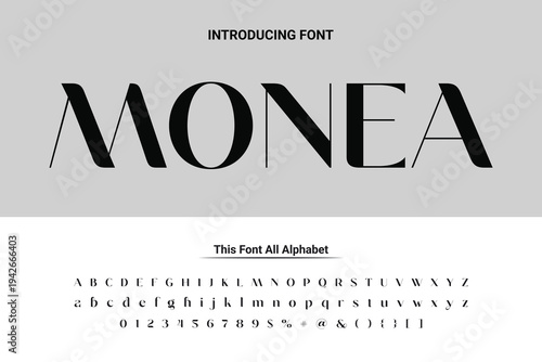 Luxury lowercase display font typeface to make your brand looks premium. Vector Fonts. Alphabet of sans serif font with modern typography. bold and tall vector font.