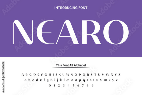 Luxury lowercase display font typeface to make your brand looks premium. Vector Fonts. Alphabet of sans serif font with modern typography. bold and tall vector font.