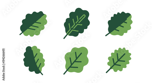 Kale Chips Line art vector modern abstract vibrant color