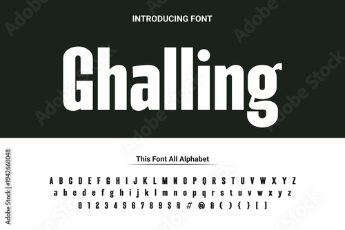 Luxury lowercase display font typeface to make your brand looks premium. Vector Fonts. Alphabet of sans serif font with modern typography. bold and tall vector font.