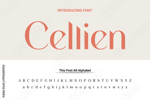 Luxury lowercase display font typeface to make your brand looks premium. Vector Fonts. Alphabet of sans serif font with modern typography. bold and tall vector font.