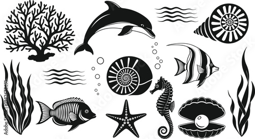 Marine life collection with dolphin, seahorse, tropical fish, starfish, coral reef, seashells, and seaweed black silhouette vector icons on white background.
