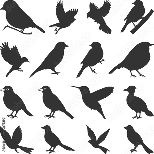 Set of Black Bird Silhouettes. Vector elements for svg design, Collection of Bird Flying Silhouettes, Vector Illustration with a white background.