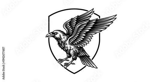Stylized flying raven or crow with outstretched wings, intricate details, in front of a shield, black and white illustration