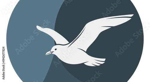 Stylized white bird flying against a blue and grey circular background. Graphic illustration of a seagull or dove, symbolizing freedom.